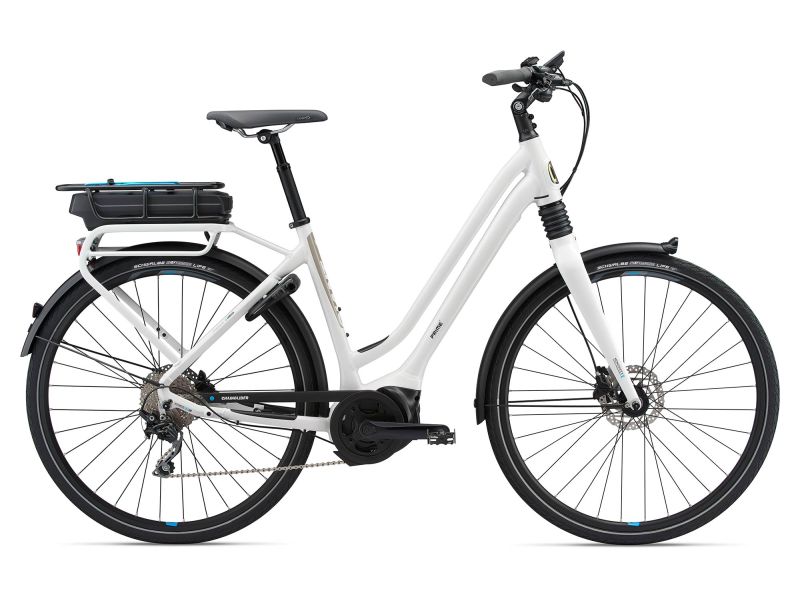 trek remedy 2010