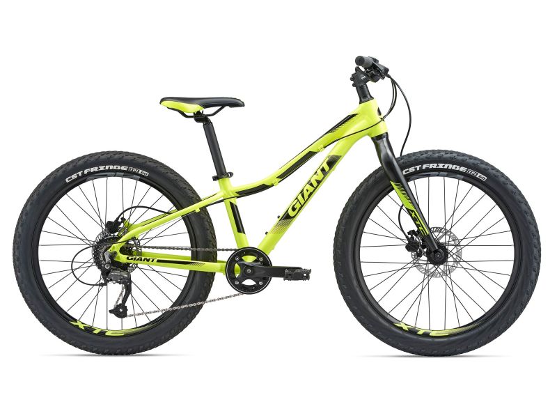 giant 24 inch mountain bike 2018