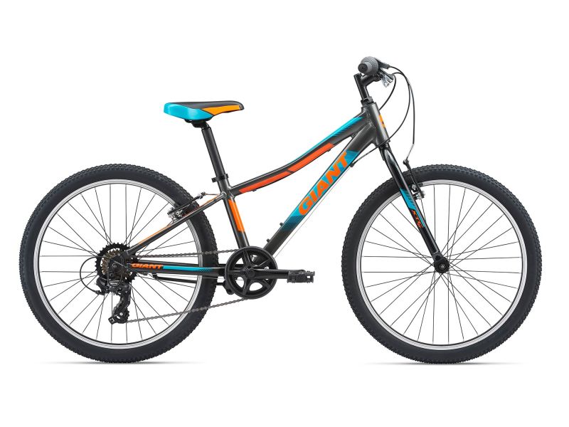 giant xtc jr 24 mountain bike