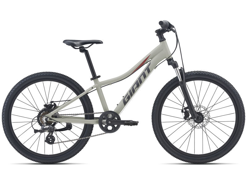 24 inch junior mountain bike