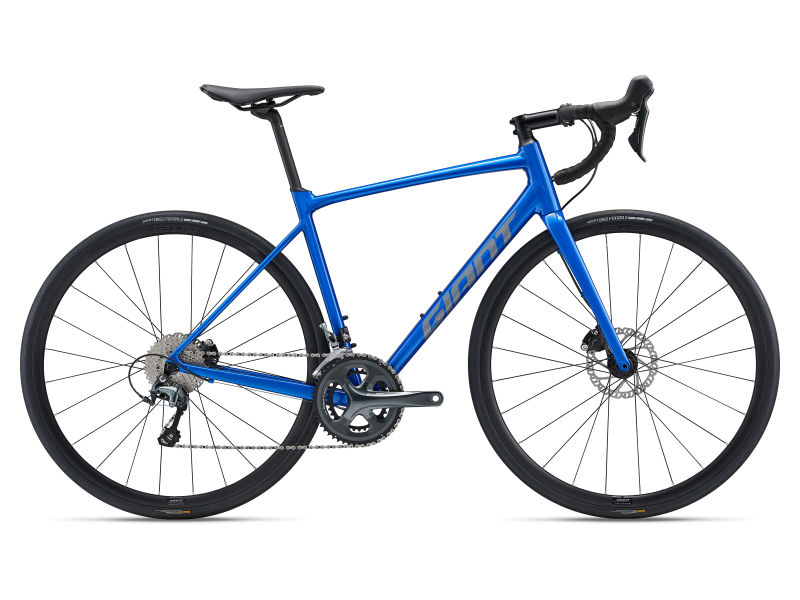 Contend SL Disc 2 (2022) | All-Rounder 