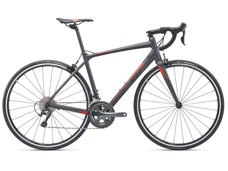 Contend SL 2 (2019) | Men All-Rounder 