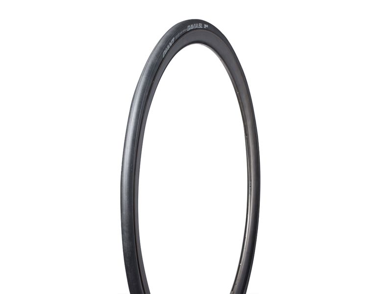 giant gavia sl