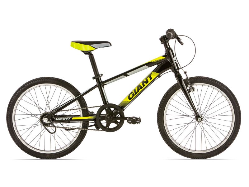 giant 20 inch bike