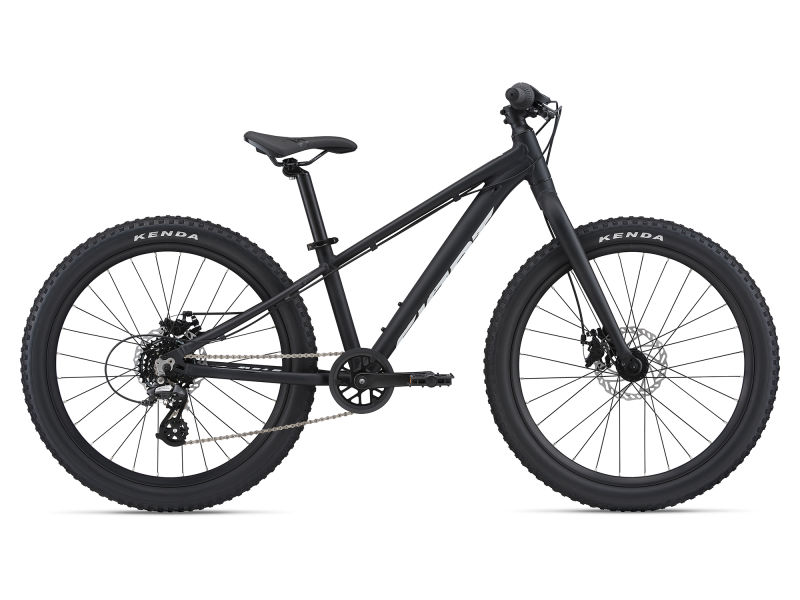29 inch cruiser bike tires
