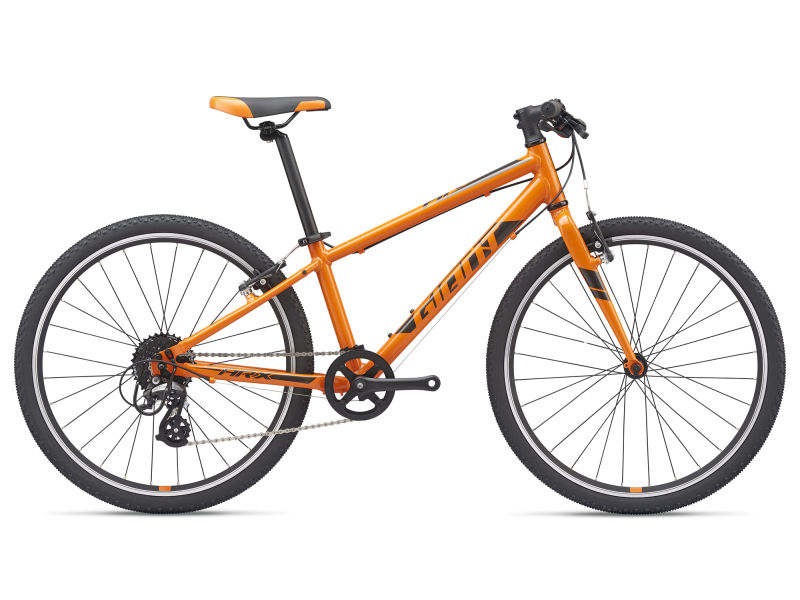 giant mtb models