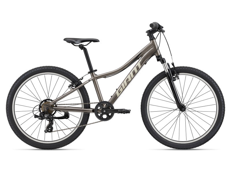 junior giant mountain bike