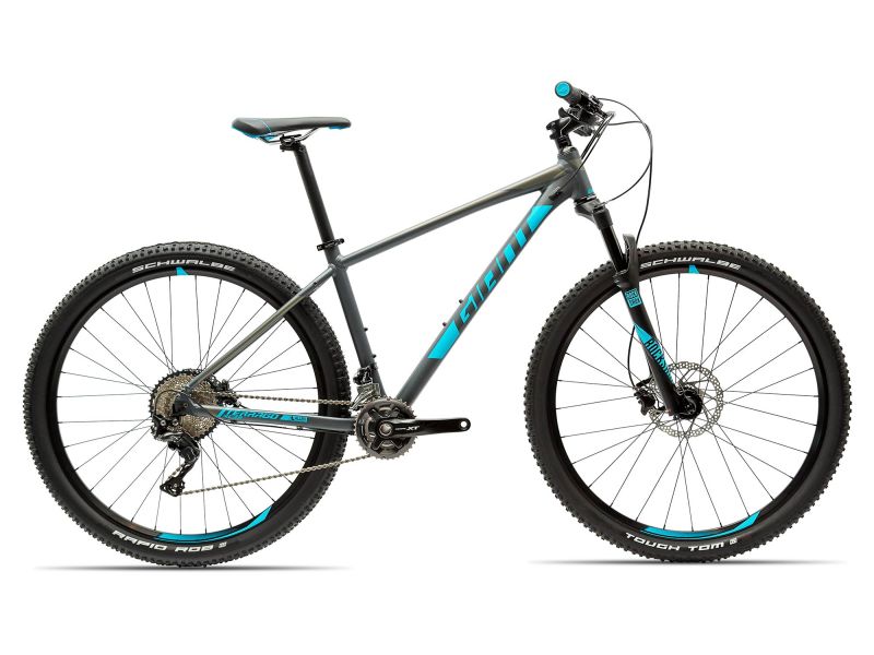 Terrago 29er 2 GE (2018) | Man XC bike 