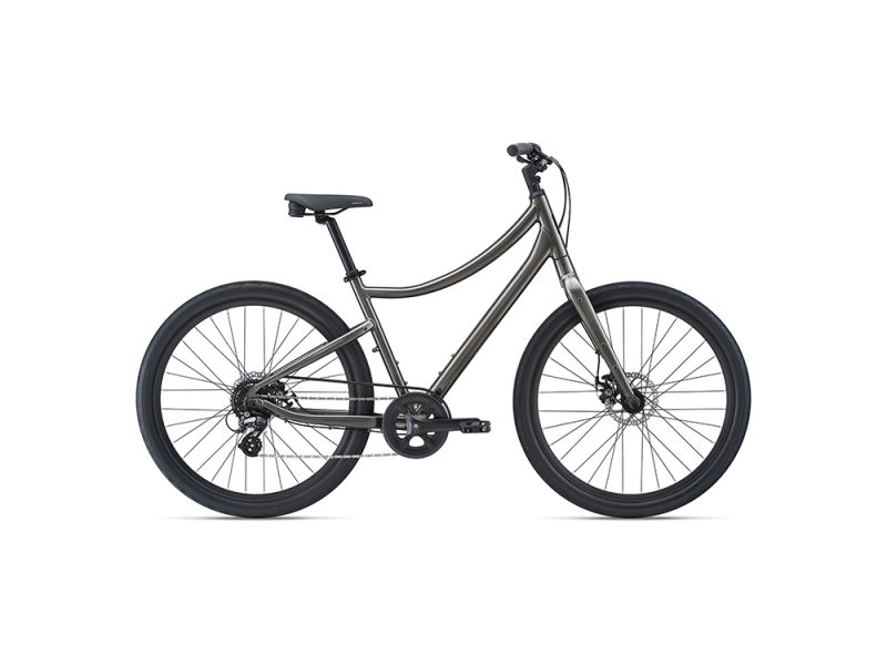 Comfort Bikes by Momentum