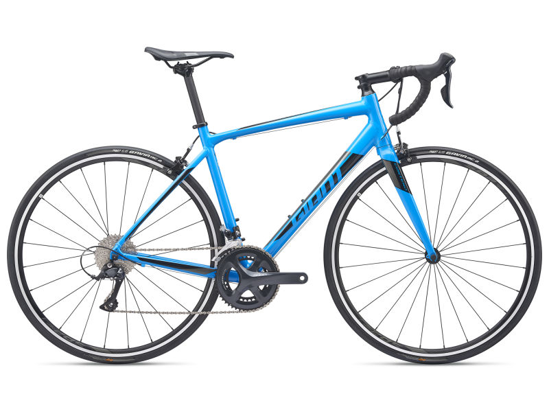 contend sl 1 2019