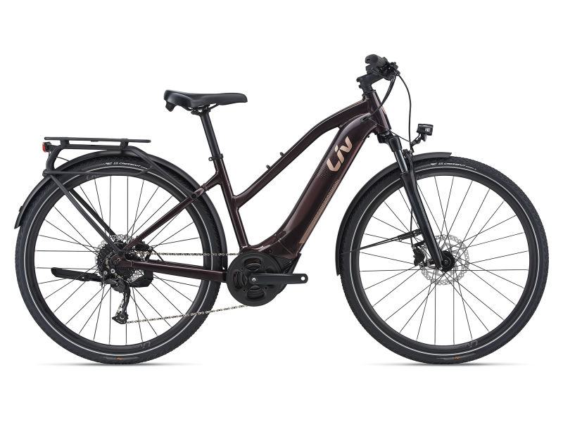 Download Amiti E+ 2 28 mph (2021) | Women Adventure bike | Liv Cycling United States