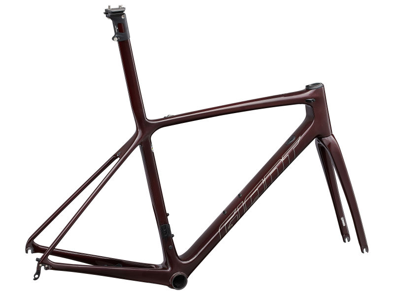 giant tcr frameset