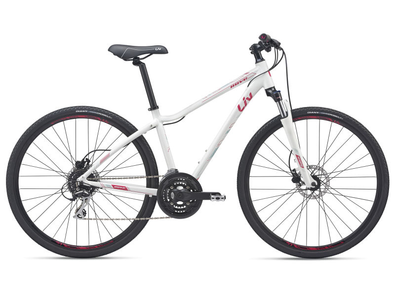 giant roam 3 disc ge