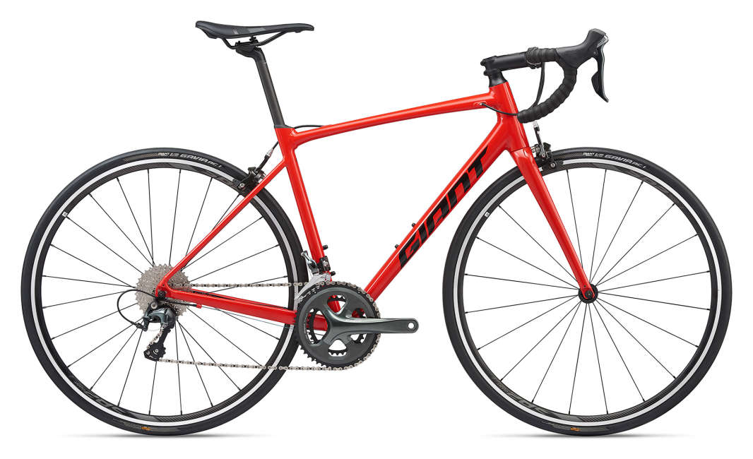 giant contend sl2 2020
