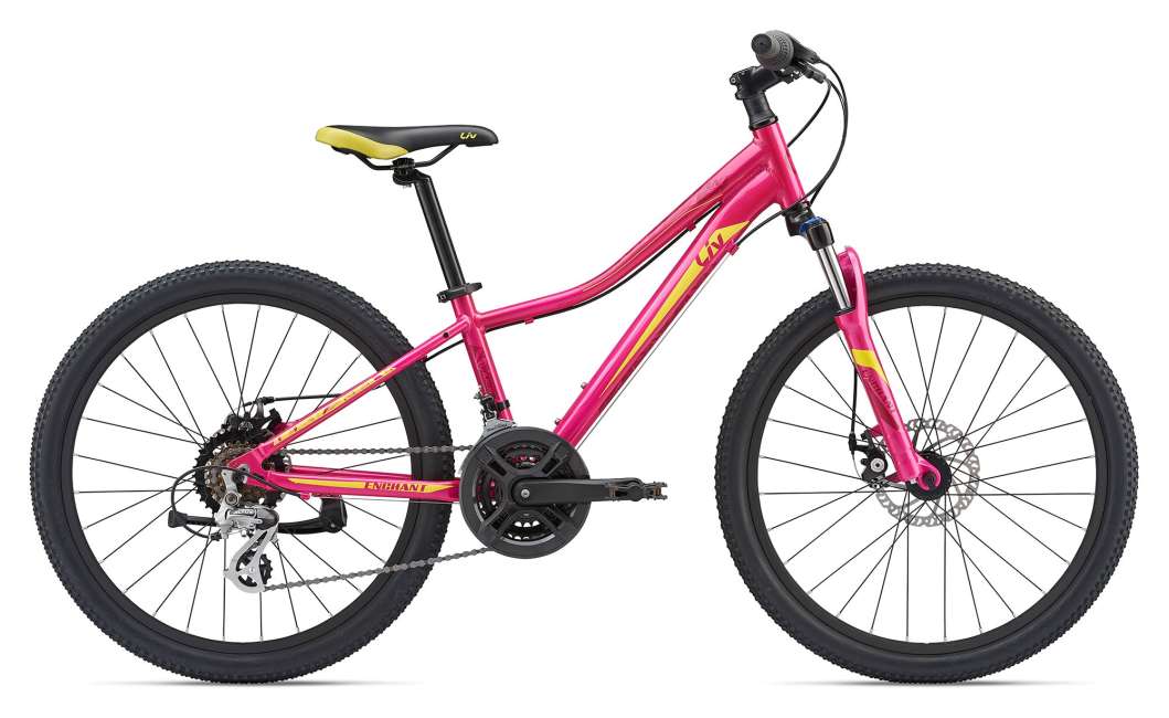 24 comfort bike