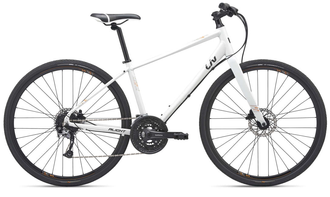 2018 giant roam 1