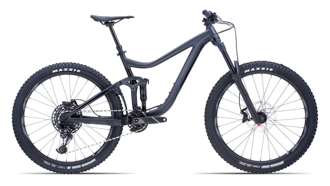 Reign 2 (GE) (2019) | Man Enduro bike 