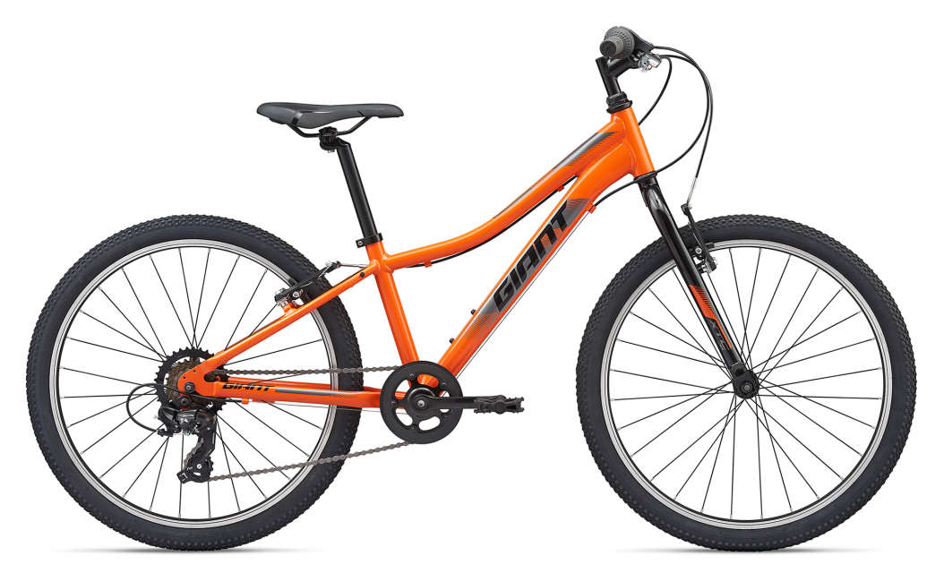 24 inch forks rigid