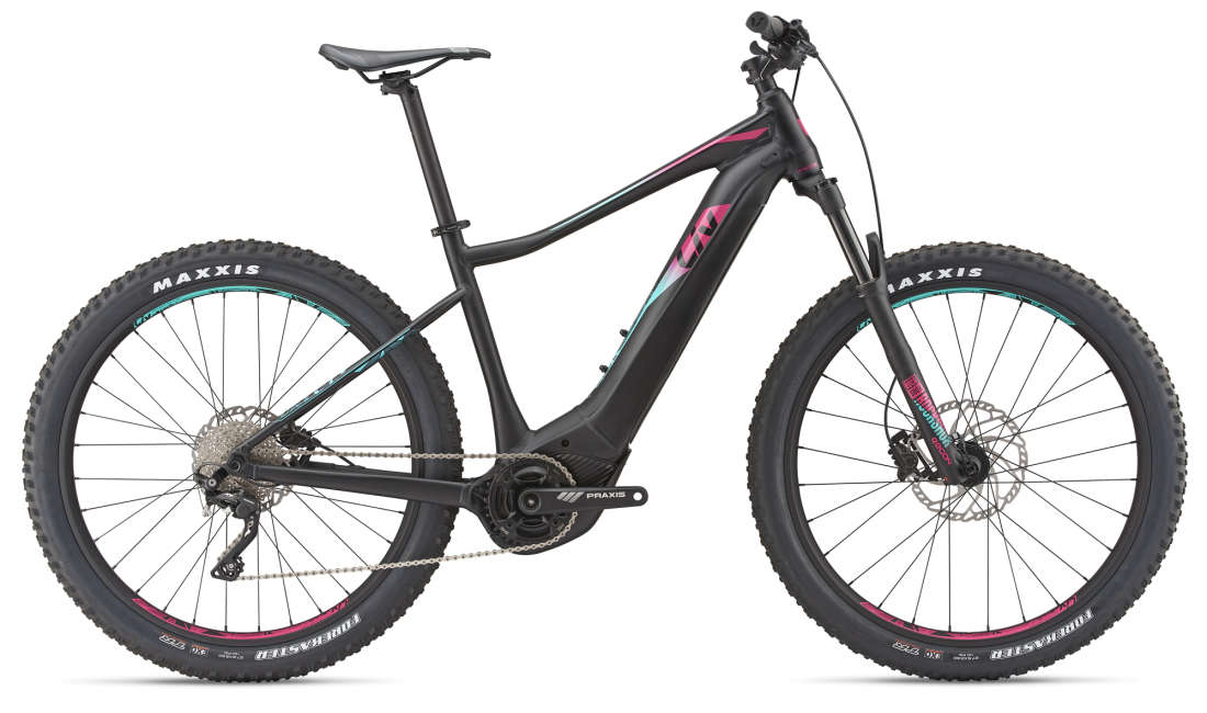 giant e bike 2019