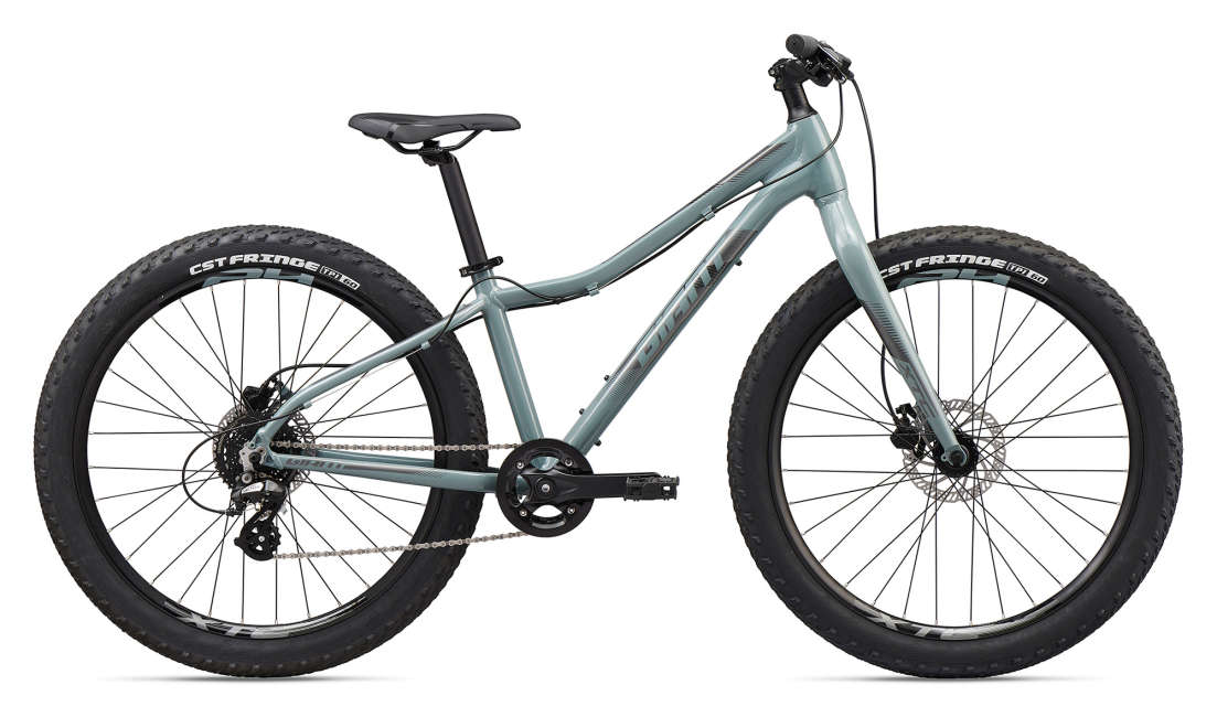 fat bike wheel price