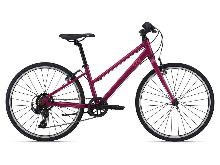 cannondale catalyst 3 2019