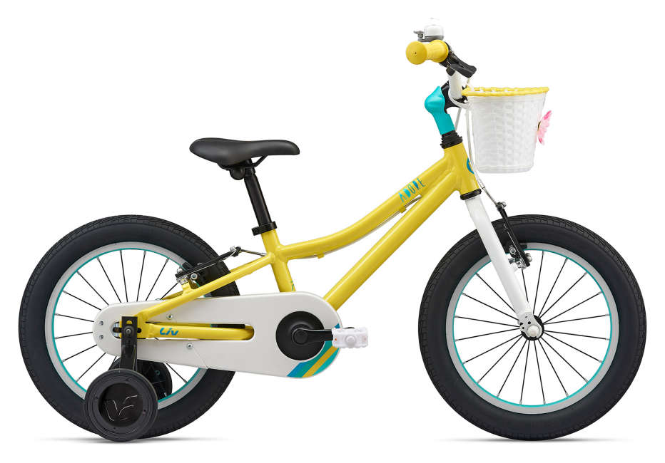 giant bike aluminum frame