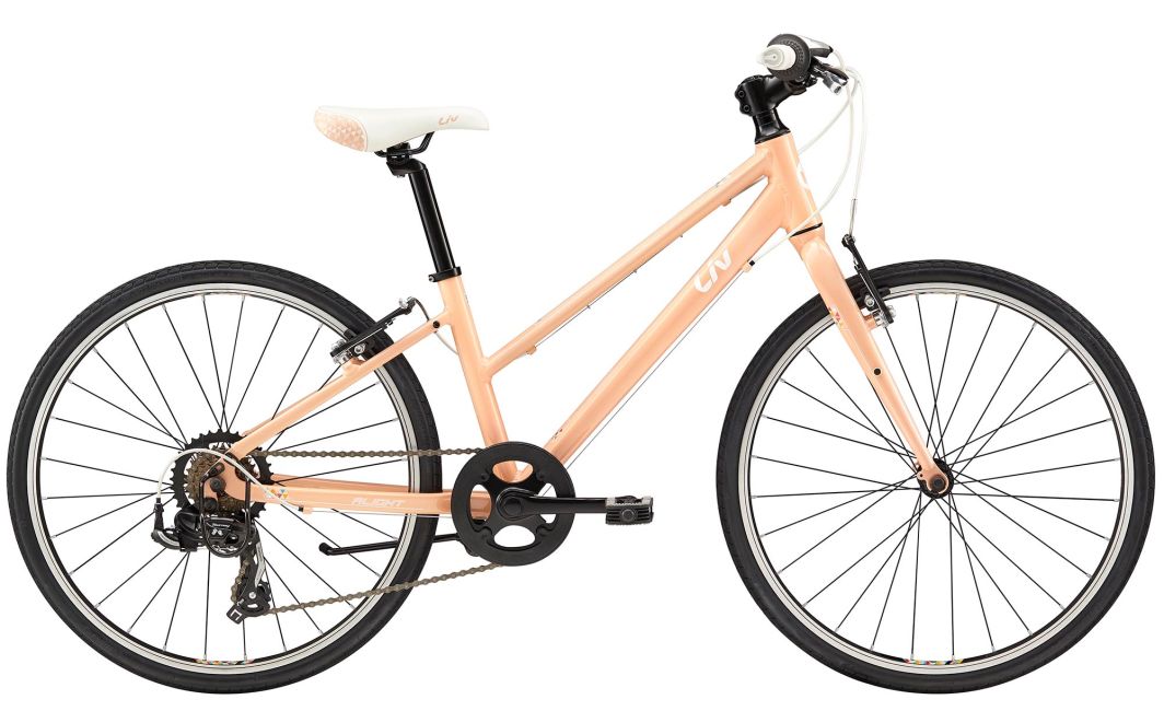 giant liv alight 3 2018