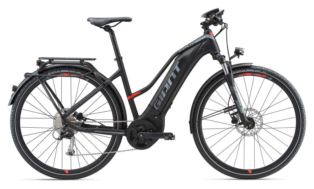 giant bike kickstand