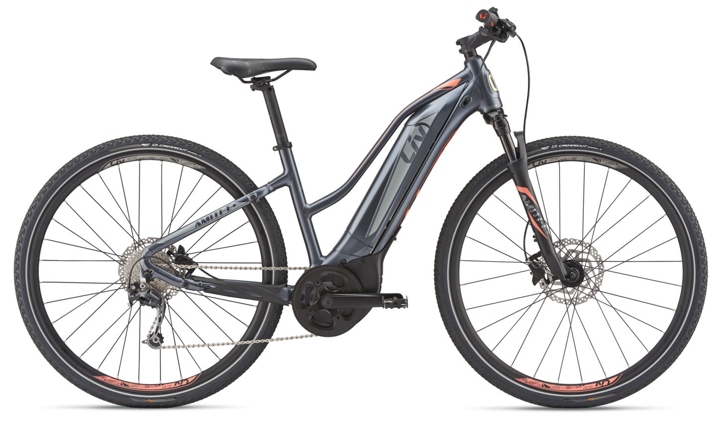 Amiti E+ 2 (2019) | DONNA Trekking Bicicletta | Liv Cycling Italia
