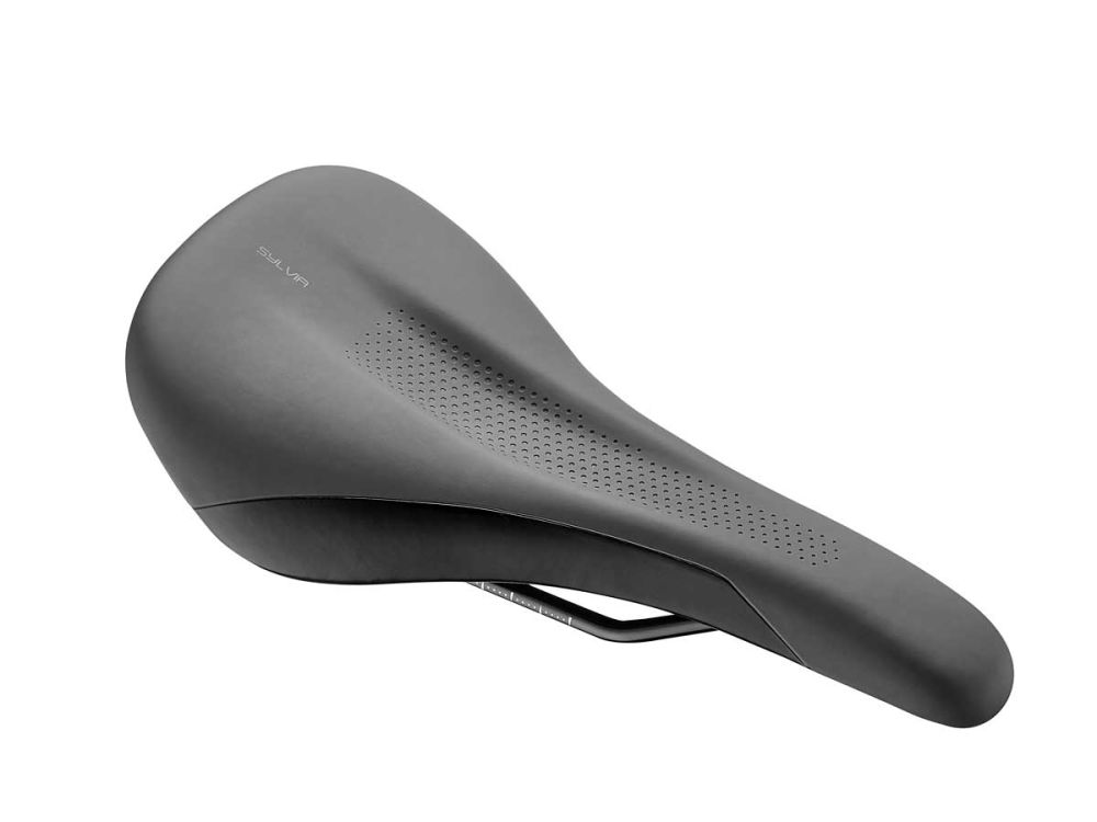 Sylvia Saddle with interactive tooltips