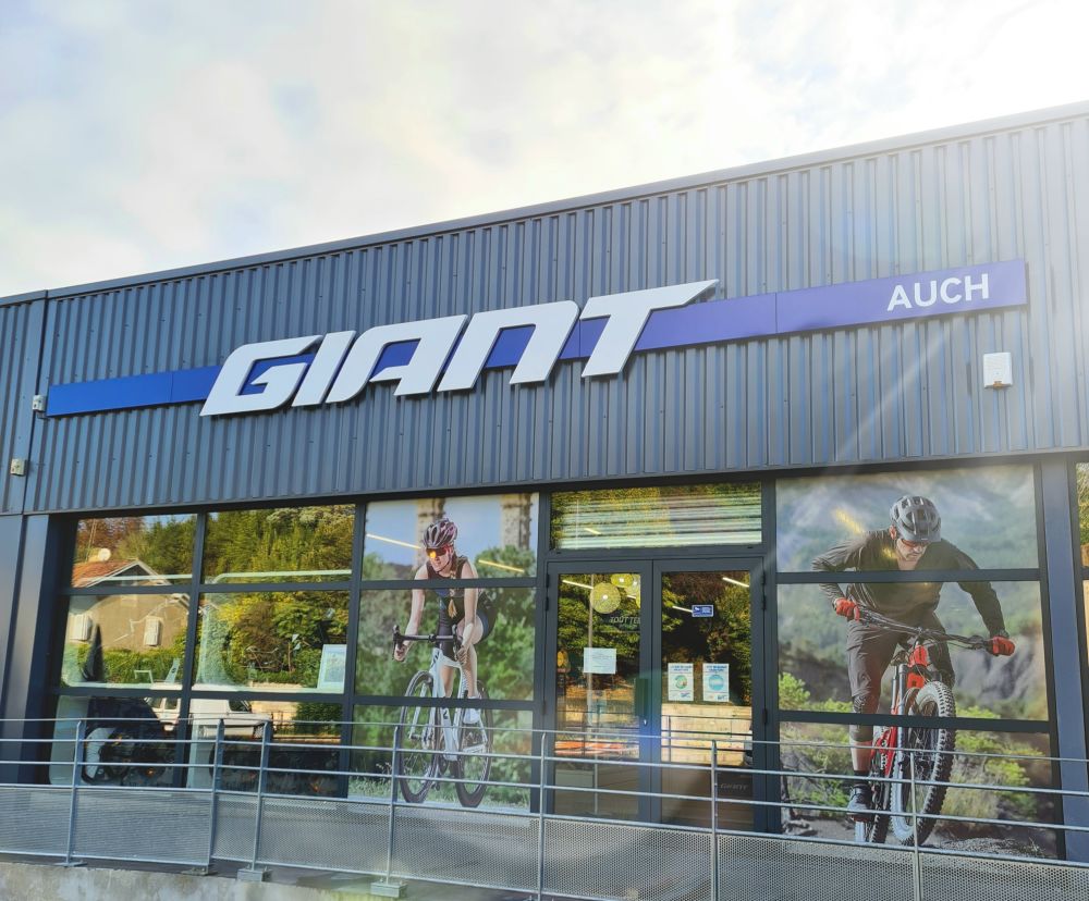 giant bikes online store