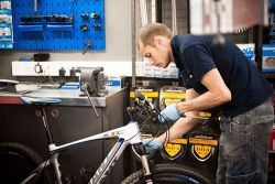 giant bike service near me