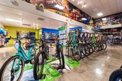 Service Giant Bicycles Giant Las Vegas Summerlin