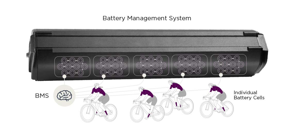 graphic of the battery management system inside a Liv E-bike battery