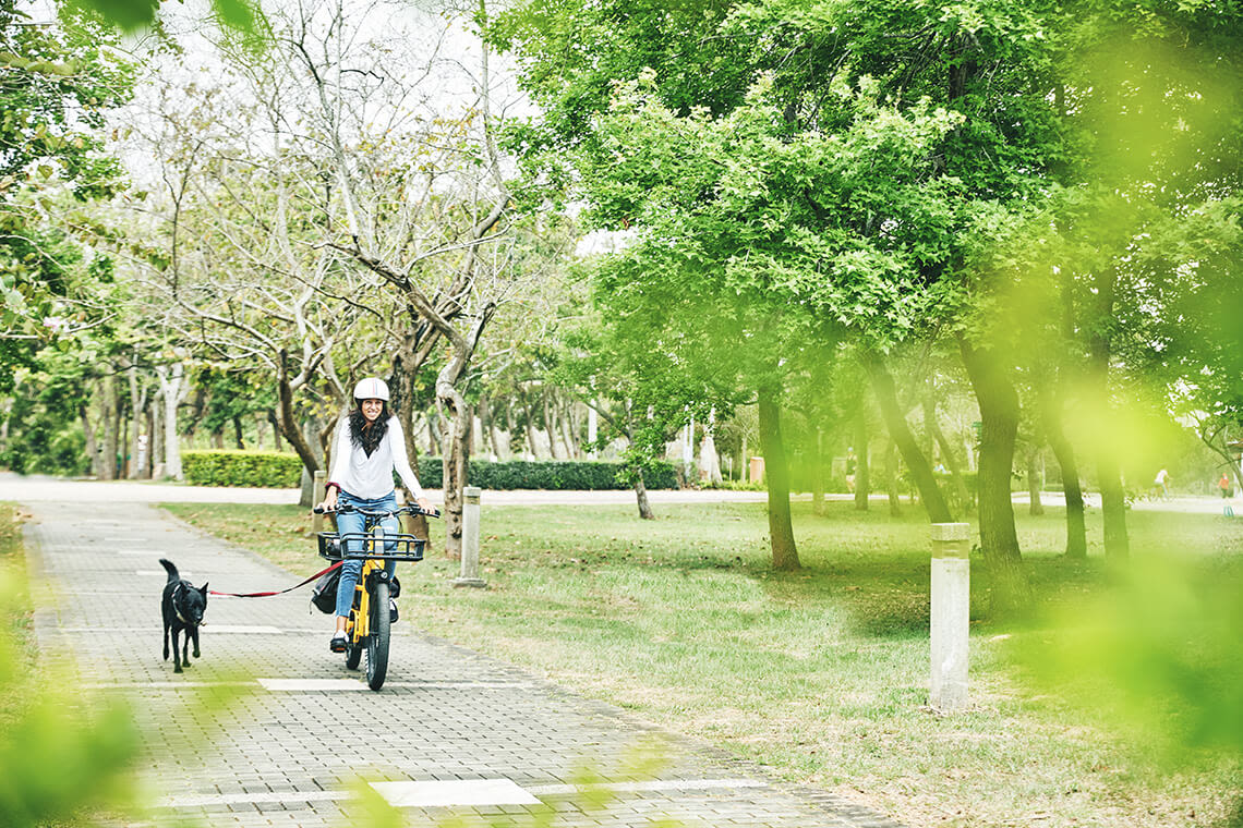 How to Bike with Dog? Guide to Carry Dog on your Bike Momentum Bikes US