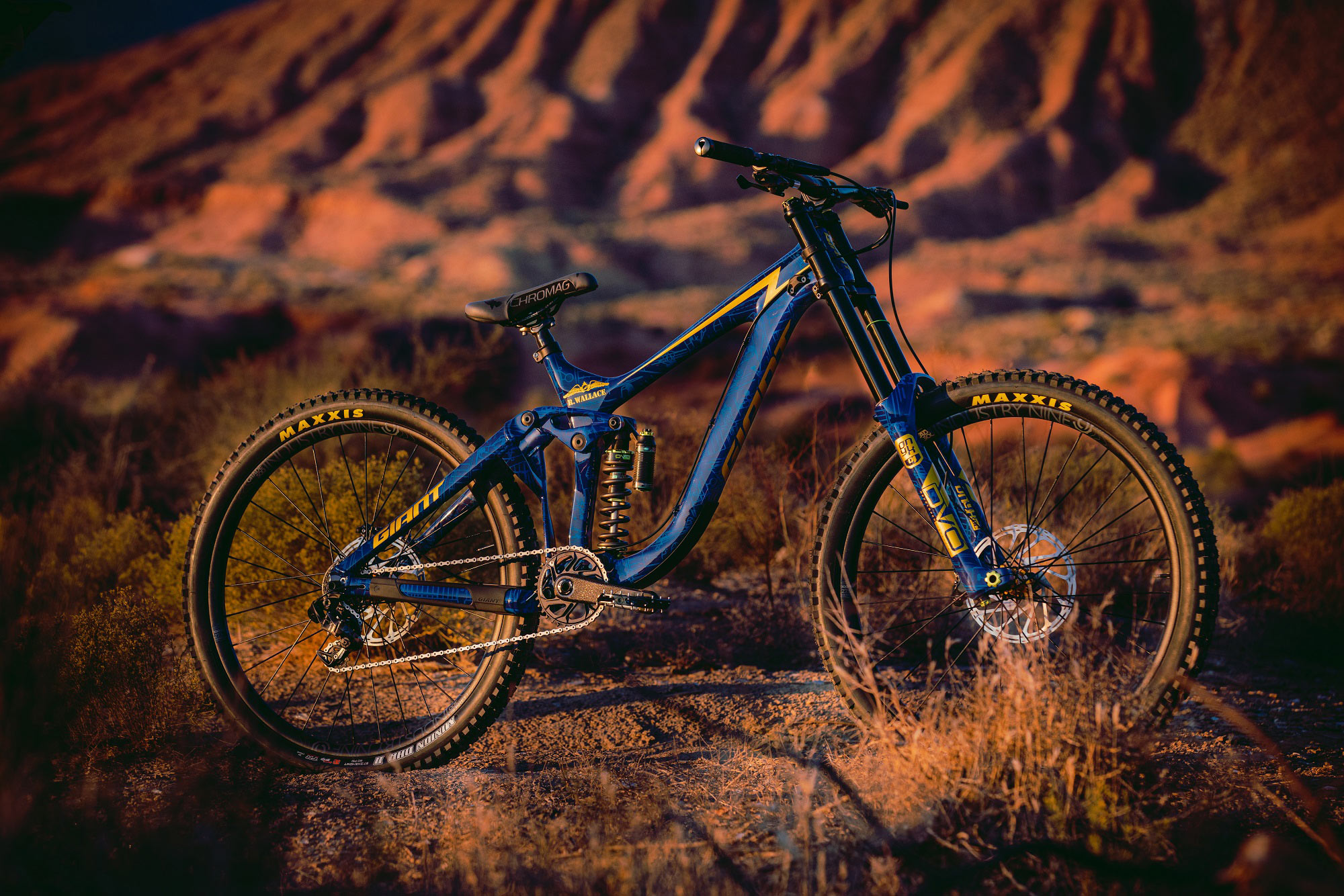 2019 deals giant bikes