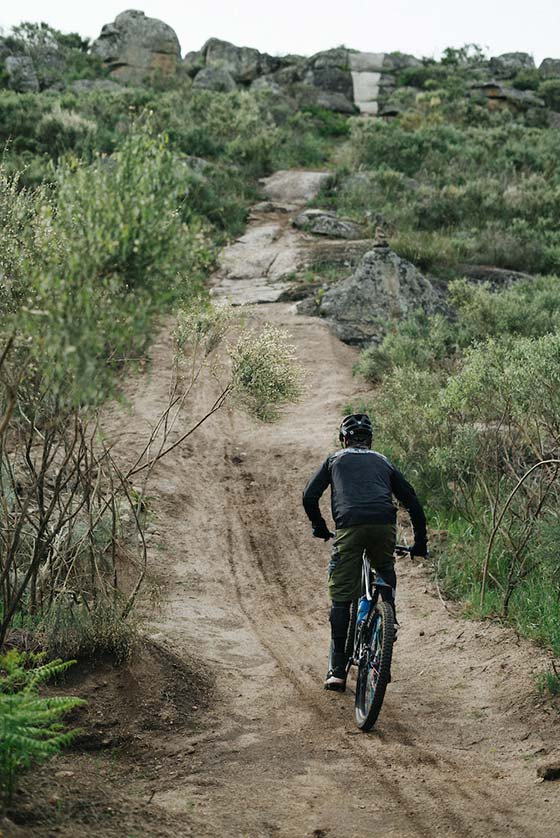 the bike farm