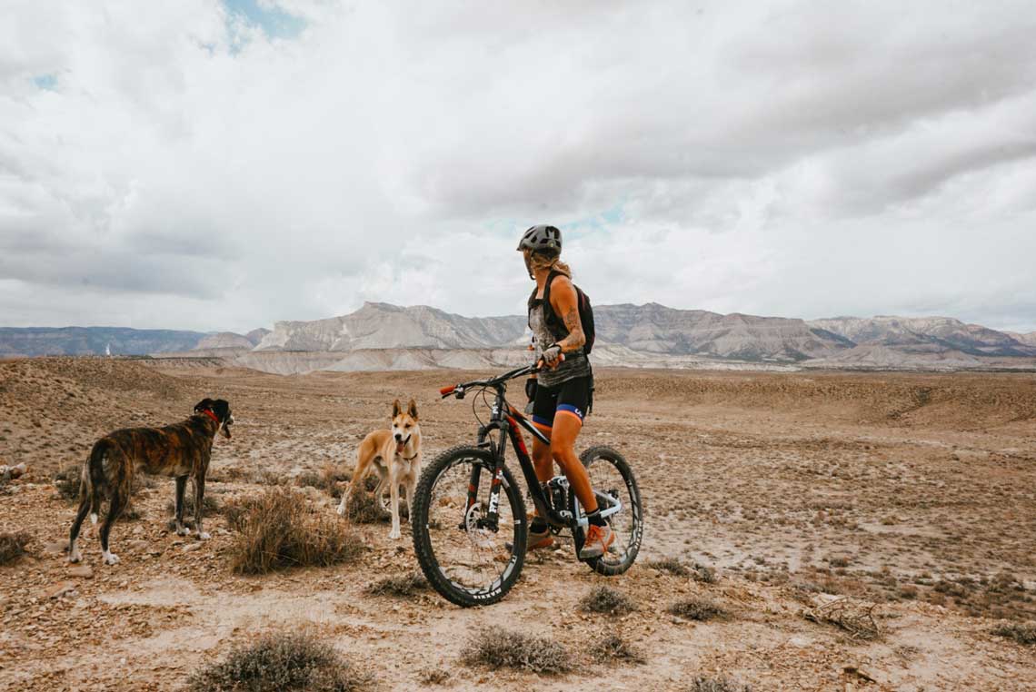 climbing mountain bike