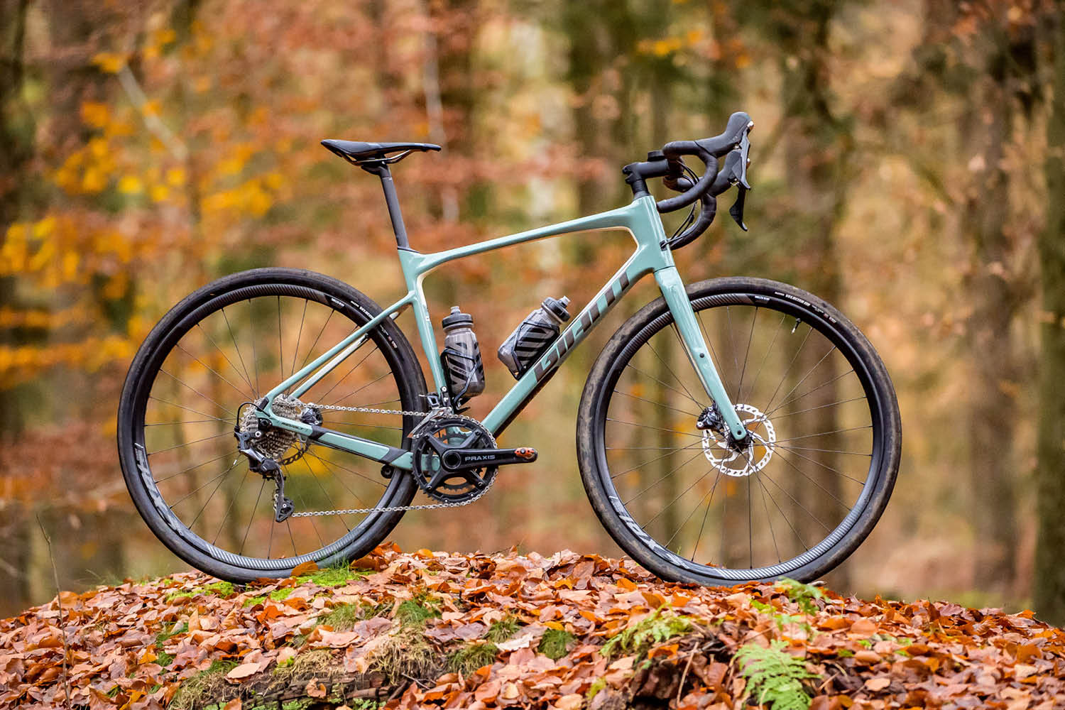 giant revolt fenders