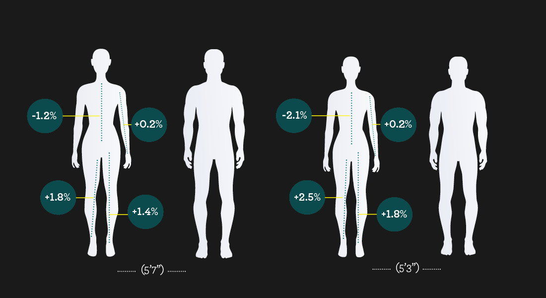 Calculating Your Average Torso Length by Height