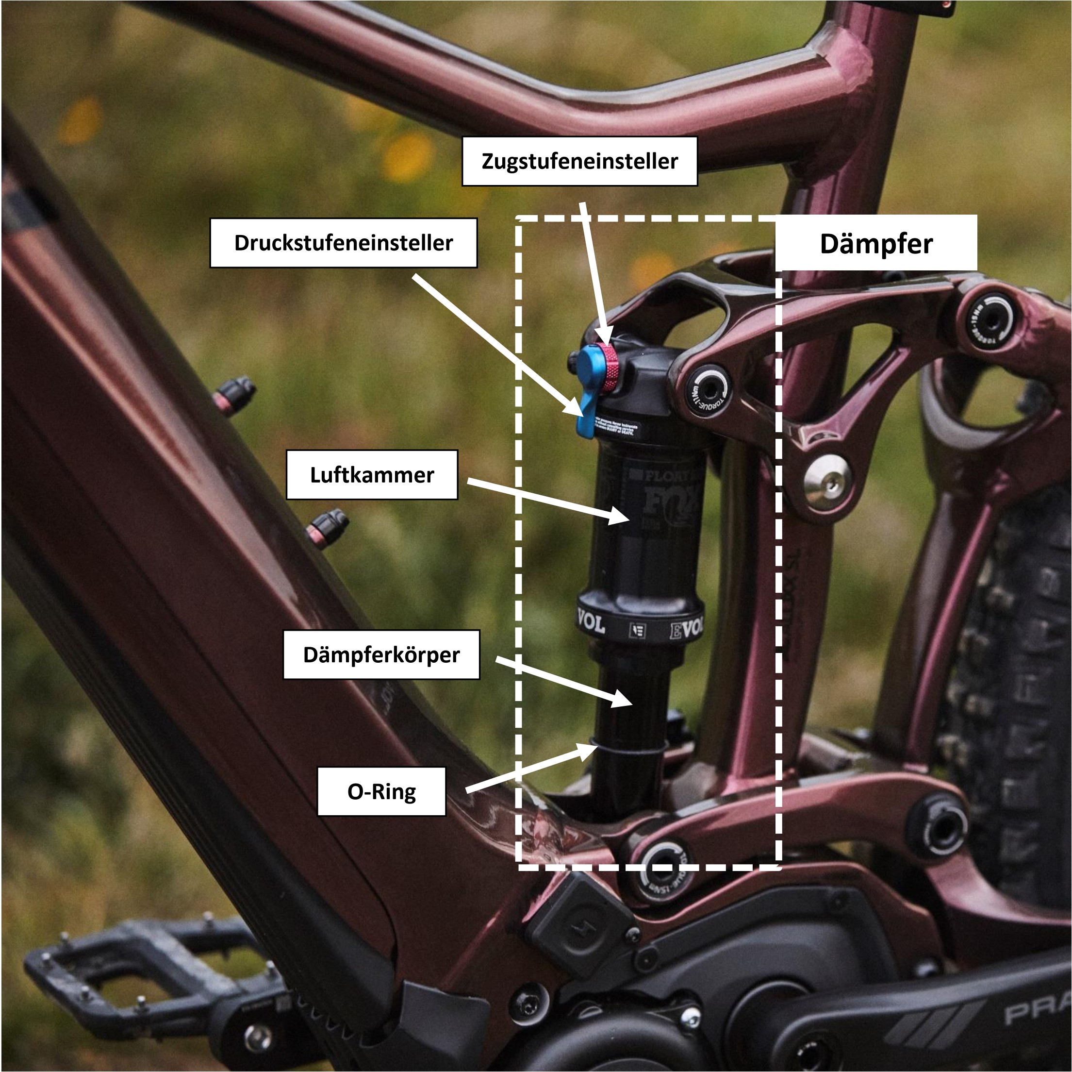 Mountainbike Fahrwerk einstellen