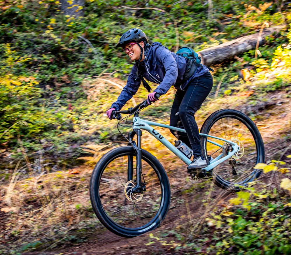 Leisure mountain online bike