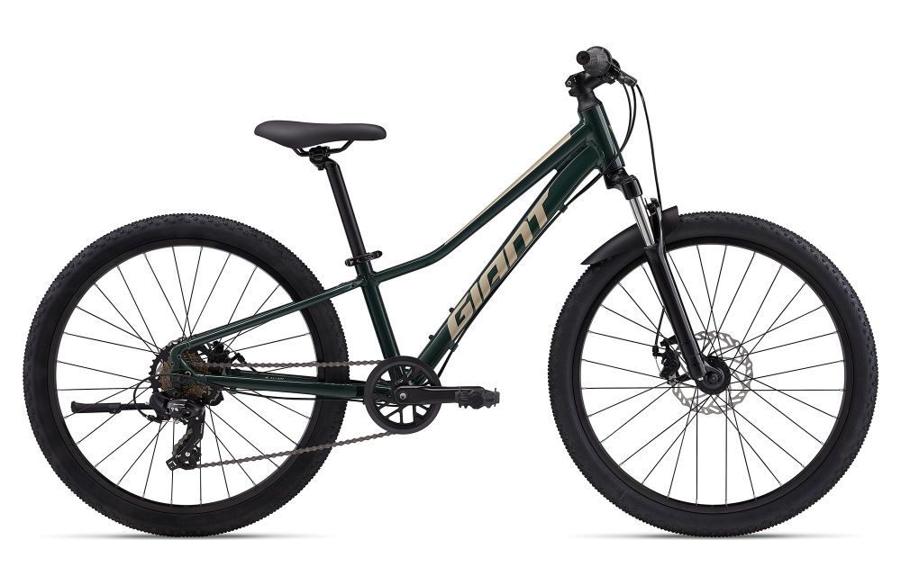 Talon 24 Disc One Size Trekking Green