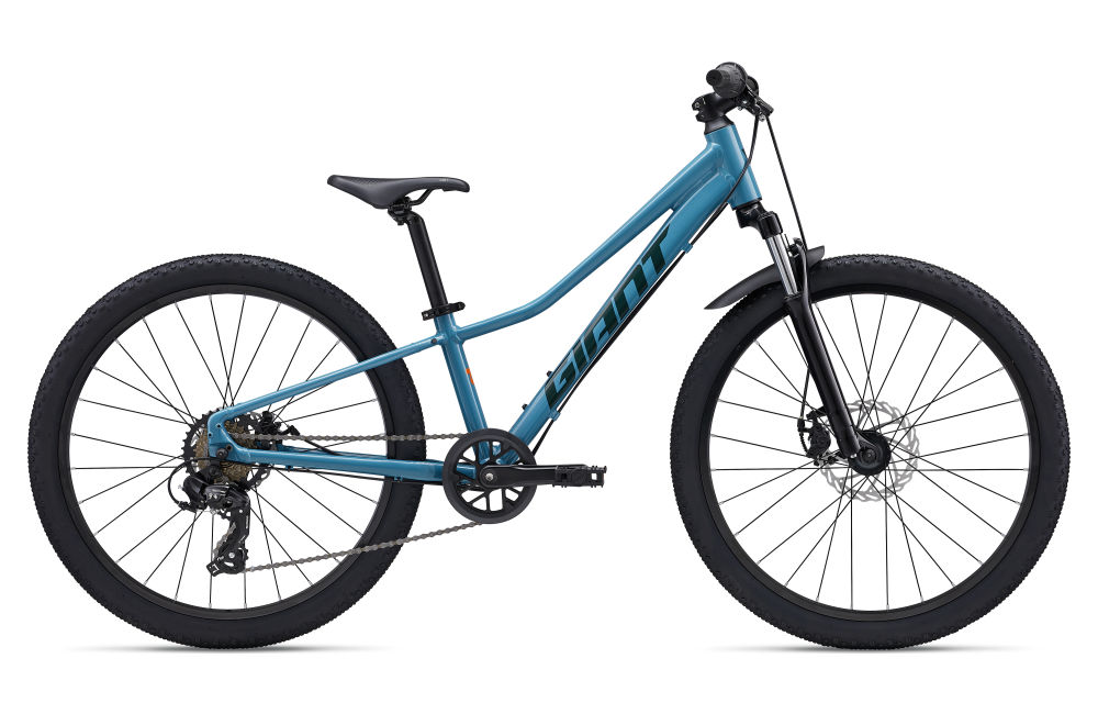 Talon 24 Disc