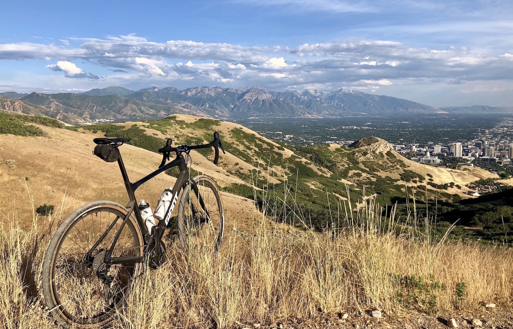 Revolt advanced gravel bike in a field