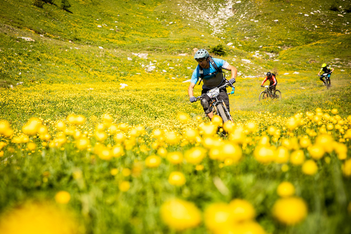 Reign mountain bike through a field