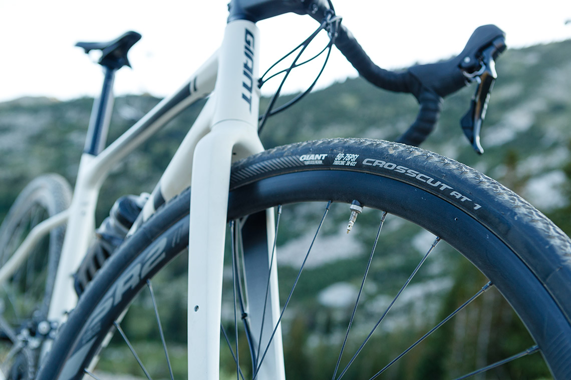 close up of forks of a Giant gravel bike