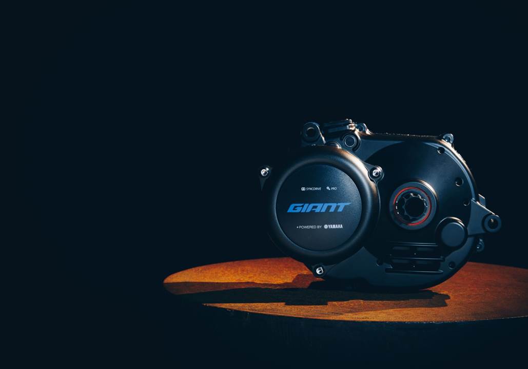 giant syncdrive life