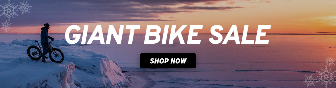 giant bike discount